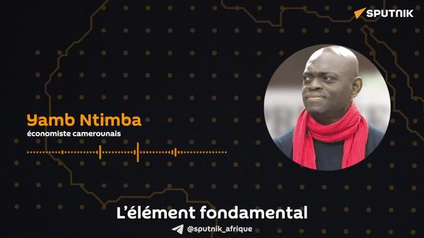 Pourquoi la croissance des exportations de bananes du Cameroun peine-t-elle à générer des revenus plus stables? - Sputnik Afrique