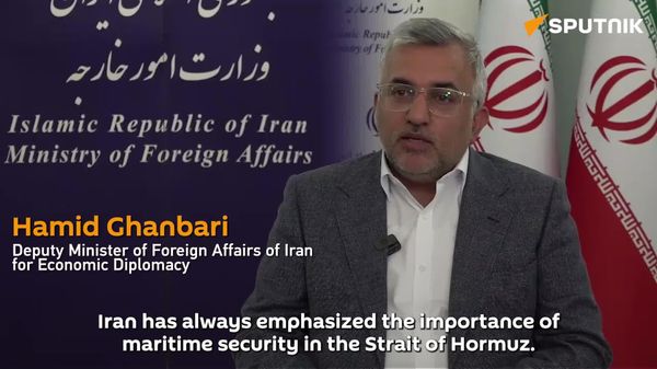 Iran backs Russian role in dialogue over Strait of Hormuz - Sputnik Africa