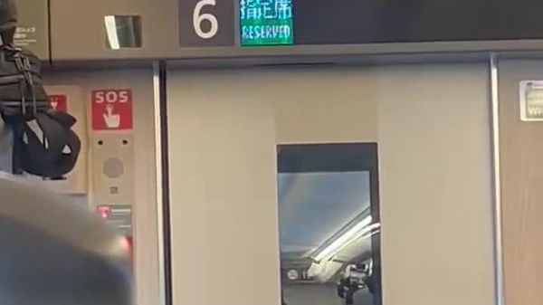 Un pigeon s’invite dans un TGV japonais - Sputnik Afrique