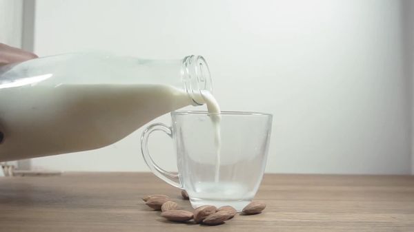 Cameroon's Milk Paradox: Farmers Produce, Yet the Country Still Imports Dairy — Journalist Explains Why - Sputnik Africa
