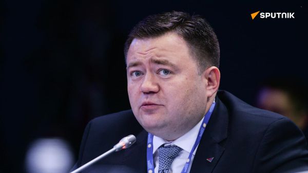 Petr Fradkov, CEO of the Russian Export Center, during the roundtable, Global Demand and Priority Areas for Russian Exports, held as part of the 2017 St. Petersburg International Economic Forum. - Sputnik Africa