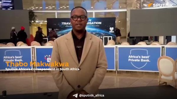 South Africa Launches Electronic Travel Authorization to Streamline Travel & Enhance Security: Correspondent - Sputnik Africa