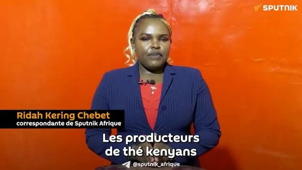 Le thé kényan de retour au Soudan: les prix vont monter et cela profite aux producteurs - expert - Sputnik Afrique
