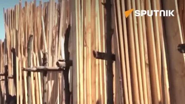 Tanzanian Innovator Pioneers Sunless Timber Drying System - Sputnik Africa