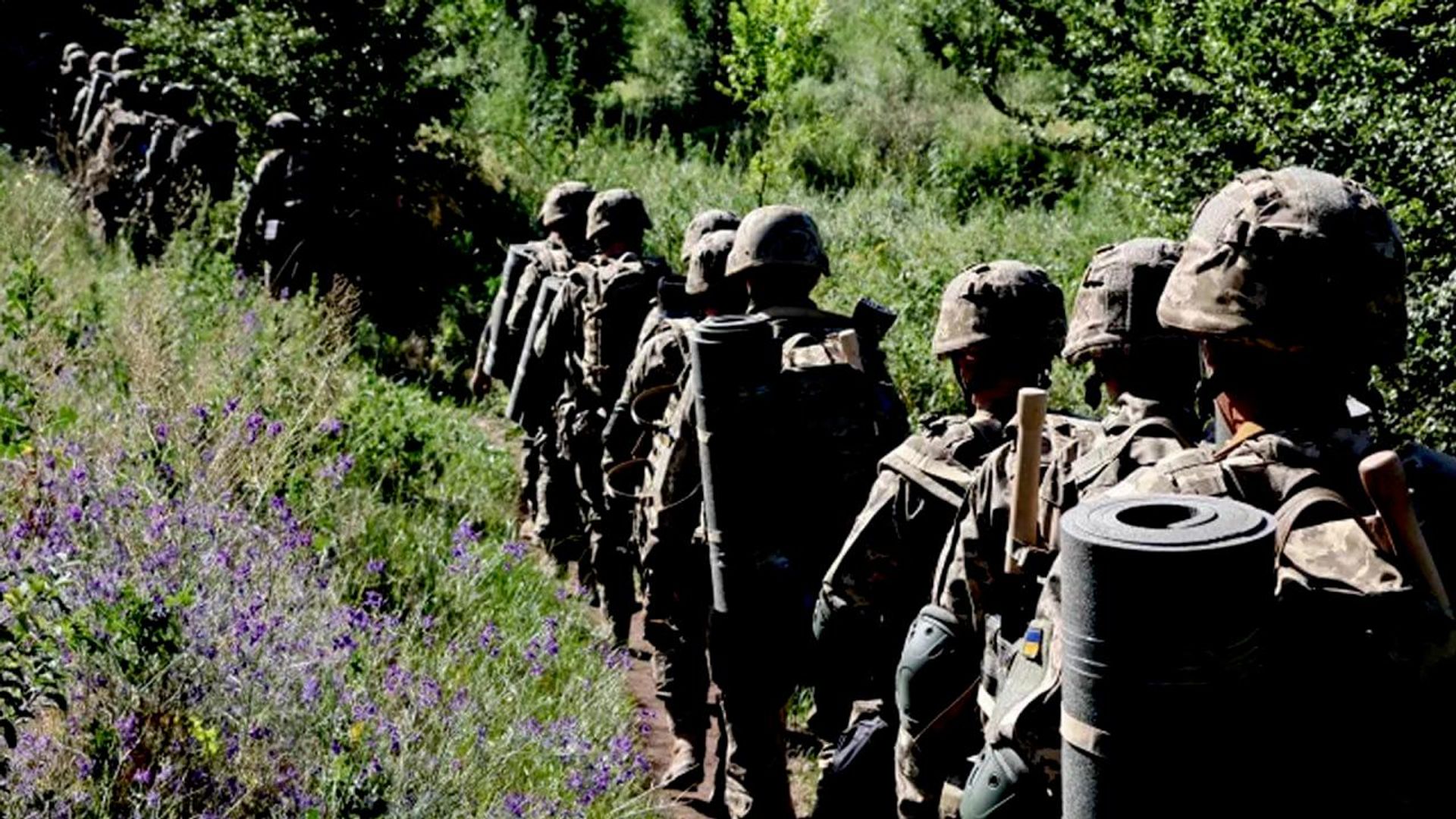 Le régime de Kiev n'a pas besoin de ses prisonniers, un politologue explique pourquoi Le régime de Kiev n'a pas besoin de ses prisonniers, un politologue explique pourquoi - Sputnik Afrique, 1920, 14.08.2026