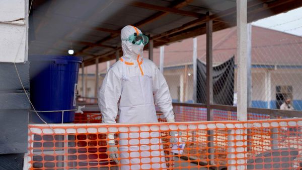 DRC's Confirmed Ebola Cases Rise to Over 4,600: Health Authorities - Sputnik Africa