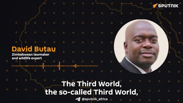 'Africans Are Forced Into Structure That is Managed by People' Who Don't Know African Wildlife: Zimbabwean Expert - Sputnik Africa