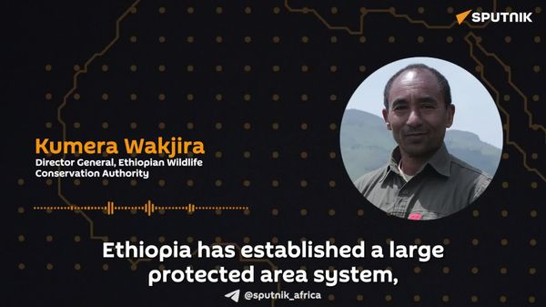 Ethiopia Has Developed Protected Areas to Preserve Wildlife for Over 60 Years: Wildlife Authority - Sputnik Africa