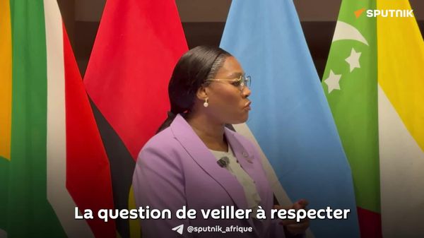 Paix, sécurité et respect des droits de l'Homme: une responsable sud-africaine présente les principes du 46e Sommet des chefs d'État de la SADC - Sputnik Afrique