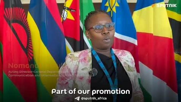 SADC is 'Interconnected in Its People, in Its Culture, in Business,' SA Official Says - Sputnik Africa
