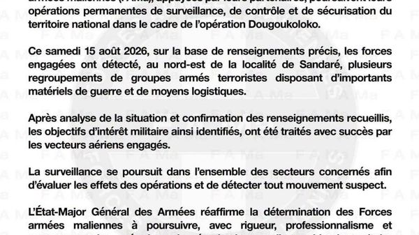Au Mali, l'armée détruit plusieurs regroupements de terroristes, leur équipements et moyens logistiques - Sputnik Afrique