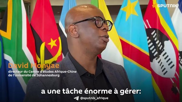 L’Afrique et la SADC doivent maximiser leurs ressources limitées, estime un professeur sud-africain - Sputnik Afrique