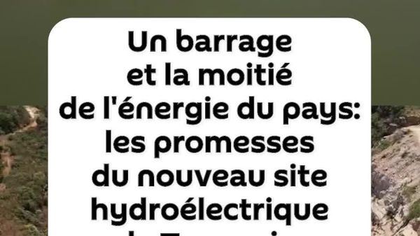 Le nouveau barrage Julius Nyerere tient déjà ses promesses en Tanzanie - Sputnik Afrique