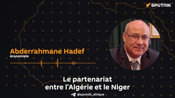 Forages déployés par l'Algérie au Niger: un levier de développement, selon un économiste - Sputnik Afrique