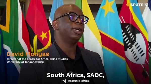 'One Wouldn't Say That There's Fascism Across South Africa': SA Scholar - Sputnik Africa