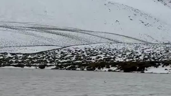 Chile's Atacama Desert Turns White as Temperatures Crash to -12°C - Sputnik Africa
