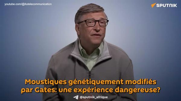 Le projet moustique de Gates: tests génétiques grandeur nature - Sputnik Afrique