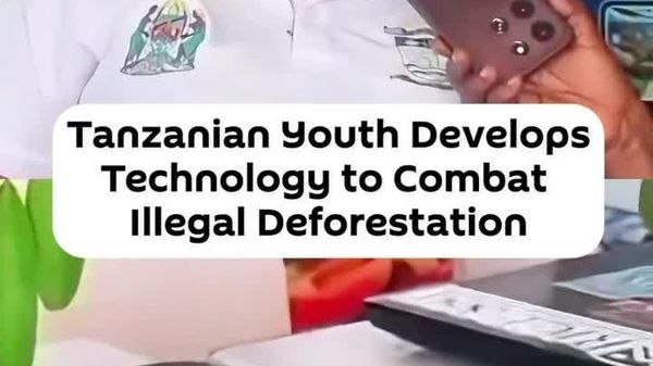Tanzanian Young Innovator Creates New Tech to Fight Illegal Deforestation - Sputnik Africa