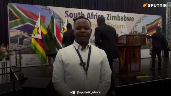 SA & Zimbabwe Committed to Mutually Remove All Trade Barriers to Boost Business Benefits: Correspondent - Sputnik Africa