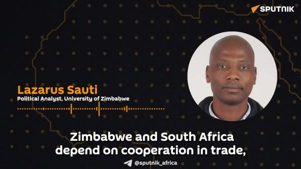 Zimbabwe & South Africa Can Catalyze Regional Integration & Tackle Youth Unemployment: Analyst on Two Countries' Recent Talks - Sputnik Africa