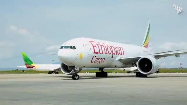 Ethiopian Airlines augmente ses vols vers la RDC - Sputnik Afrique