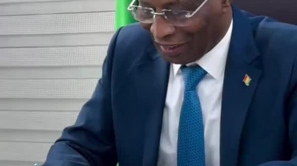 La Guinée est candidate pour l'organisation de la Coupe d'Afrique des Nations - le ministre des Sports - Sputnik Afrique