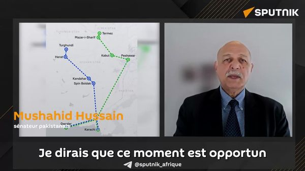 ▶ Canal de Suez Plus: un projet ferroviaire reliant la Russie à l'Asie centrale et à l'océan Indien est une voie vers le progrès, selon un sénateur pakistanais - Sputnik Afrique