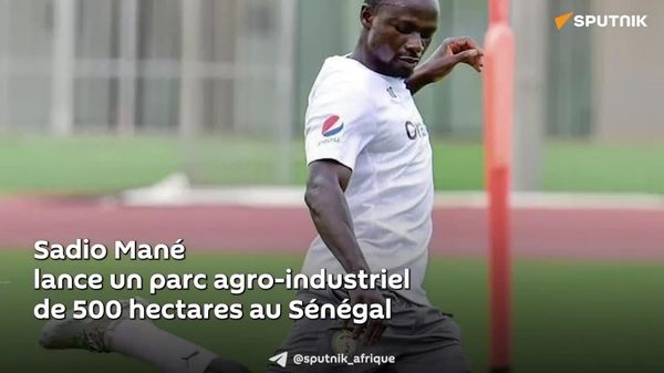 Une superstar du football sénégalais investit massivement dans un parc agro-industriel de 500 hectares - Sputnik Afrique