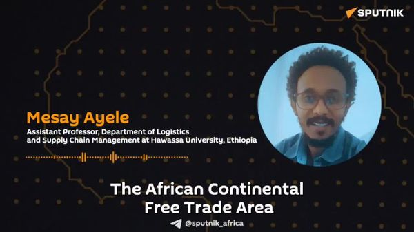 African Free Trade Area Needs Logistics Integration, Not Just Tariff Cuts: Ethiopian Expert - Sputnik Africa
