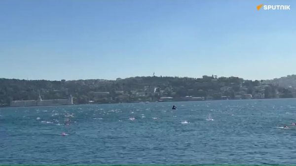 Nearly 2,500 People Cross Bosphorus Strait in Intercontinental Swimming Race - Sputnik Africa