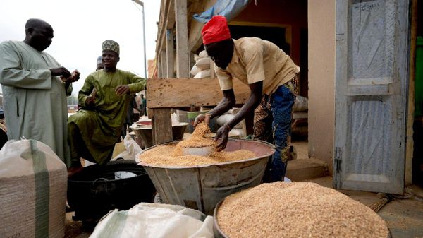 Zimbabwe, Belarus Work on Grain Storage Modernization Space, Vaccine Manufacturing Plant: Media - Sputnik Africa