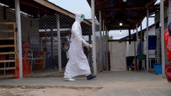 Confirmed Ebola Cases in DRC Reach 5,514, Death Toll Tops 2,600: Health Authority - Sputnik Africa