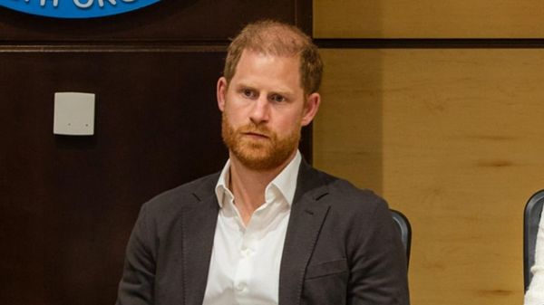 British Prince Harry Leaves African Parks Board Following Abuse Findings: Media - Sputnik Africa