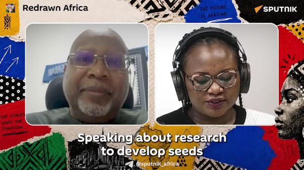 From Grain Shipments to Homegrown Harvests: Rethinking Africa's Food Future - Sputnik Africa
