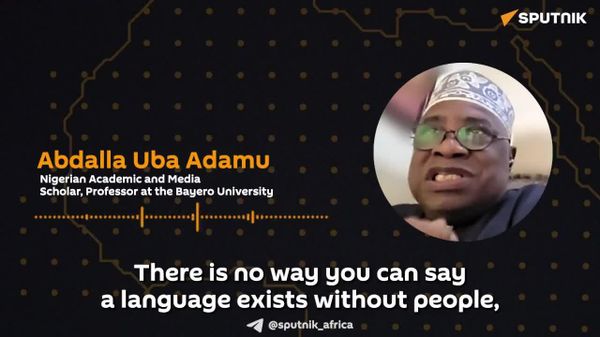 Hausa Language Unites Nigeria & Niger Beyond Their Former Colonial Border: Expert - Sputnik Africa