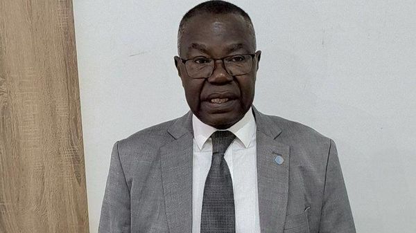 Désarmement en Centrafrique: entre avancées et défis persistants - Sputnik Afrique