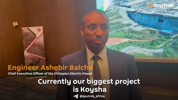Ethiopia to Launch Three Power Generation Projects in 2027: CEO of Ethiopian Electric Power - Sputnik Africa