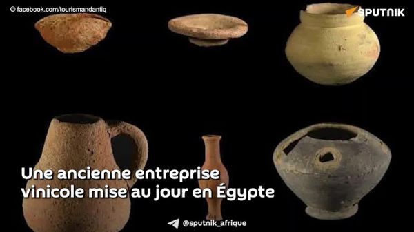 Une ancienne entreprise vinicole mise au jour en Égypte - Sputnik Afrique