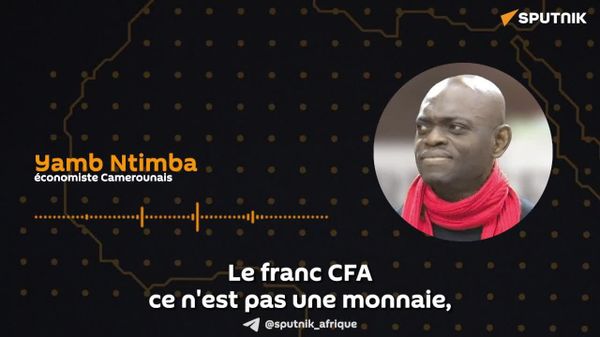 Le franc CFA n'est pas une monnaie, mais un bon du Trésor français – un économiste camerounais - Sputnik Afrique