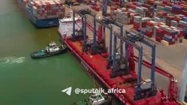 Which Key Products Are Driving Tanzania's Export Boom? - Sputnik Africa