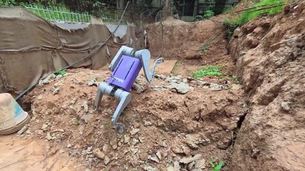 Forget Real Dogs: This Indian Robot Can Carry 10 kg & Never Needs Walk - Sputnik Africa