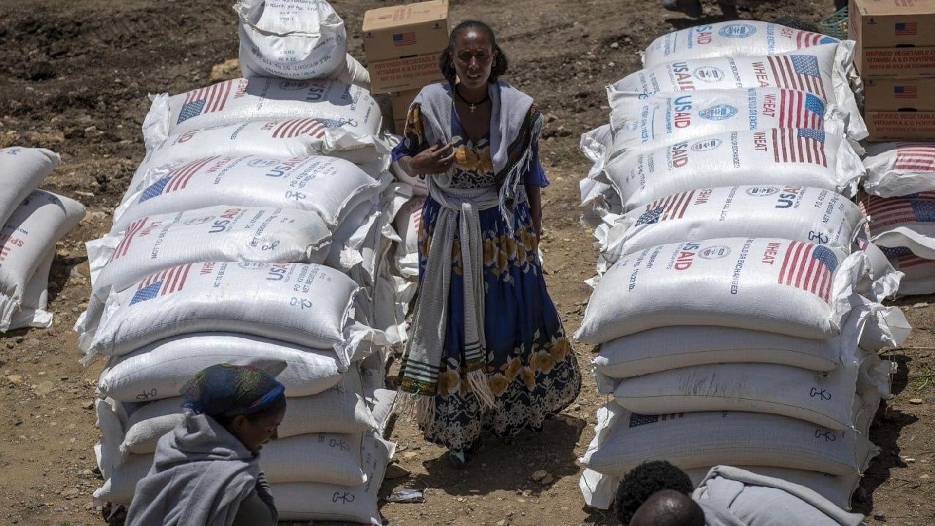 Humanitarian Aid in Africa: How to Avoid Creating Logic of Dependency—Burundian Expert Explains Humanitarian Aid in Africa: How to Avoid Creating Logic of Dependency—Burundian Expert Explains - Sputnik Africa, 1920, 05.09.2026