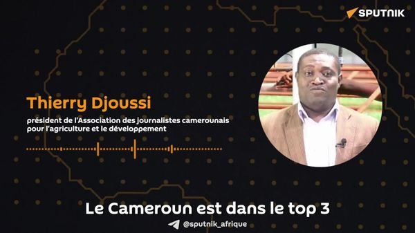 La nouvelle politique de l'UE pourrait pénaliser les petits producteurs de cacao en Afrique - un journaliste camerounais - Sputnik Afrique