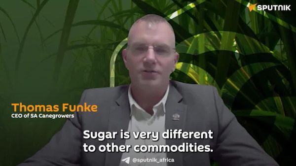 Tariffs for SA Sugarcane Industry is 'Absolute Necessity': SA Canegrowers CEO - Sputnik Africa
