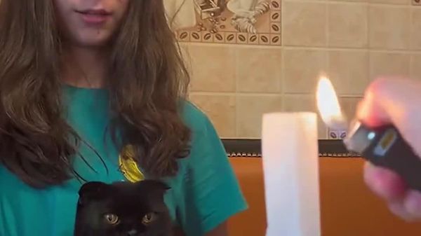 Cats Imagine Their Own 'Catwarts' Looking at Fire Magic - Sputnik Africa