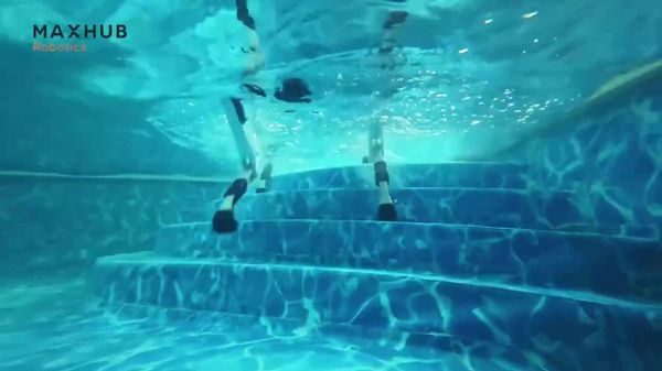 Ce robot chinois peut se déplacer sous l'eau et y franchir des obstacles - Sputnik Afrique