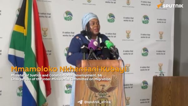 'Don't Expect Us to Attack Other Countries': SA Minister on SADC Migration Cooperation - Sputnik Africa