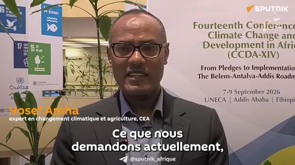 L'Afrique doit œuvrer collectivement à la concrétisation des engagements climatiques – spécialiste éthiopien - Sputnik Afrique