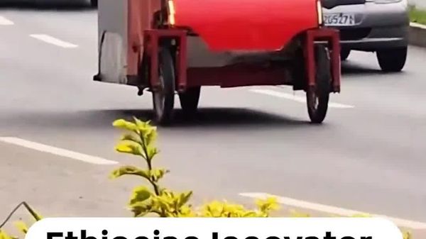 Ethiopian Innovator Creates Solar-Powered Three-Wheeler From Recycled Materials - Sputnik Africa