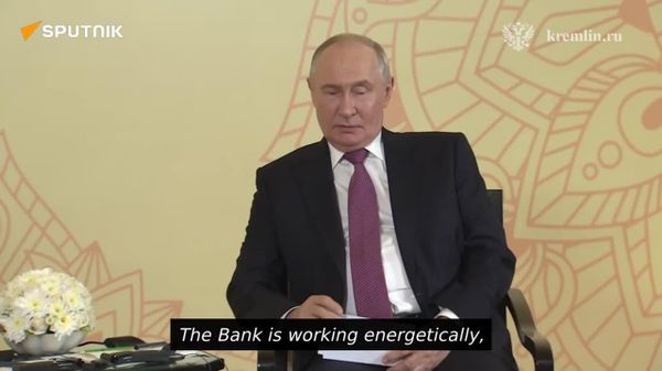Putin backs broader role for BRICS bank - Sputnik Africa